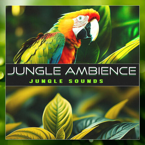 Jungle Ambience