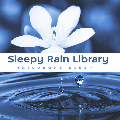 Sleepy Rain Library