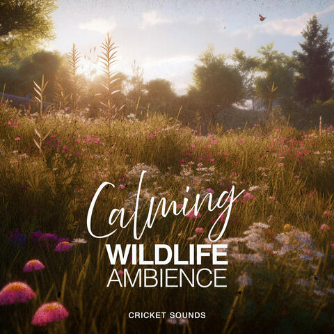 Calming Wildlife Ambience