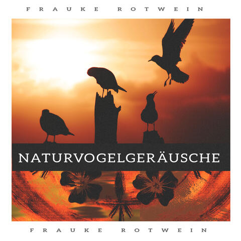Naturvogelgeräusche