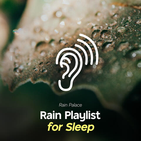 Rain Playlist for Sleep