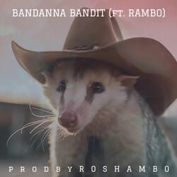 Bandanna Bandit