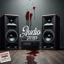 Audio