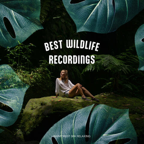 Best Wildlife Recordings