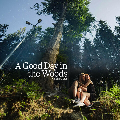 A Good Day in the Woods