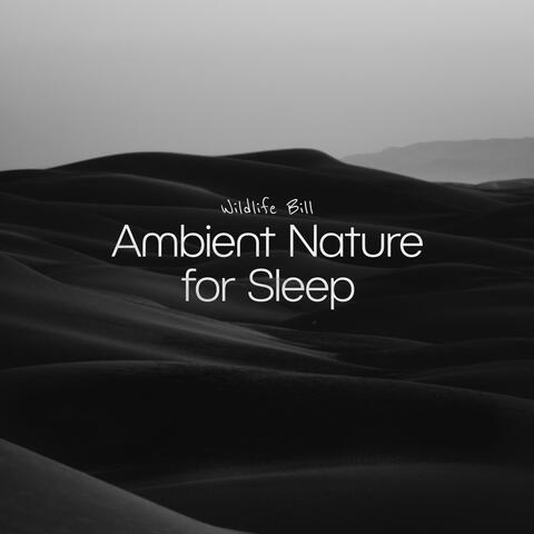 Ambient Nature for Sleep
