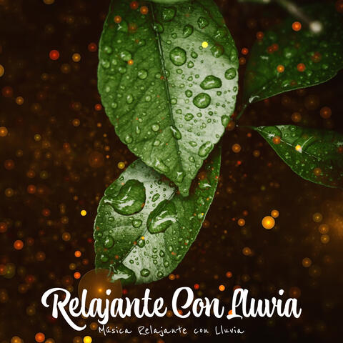 Relajante Con Lluvia