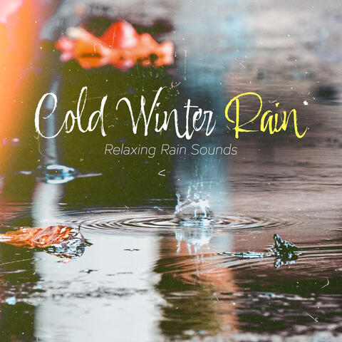 Cold Winter Rain