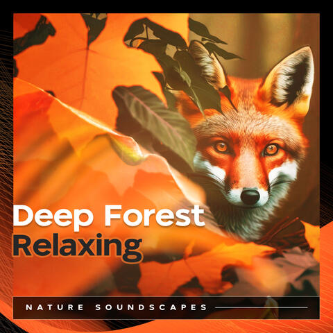 Deep Forest Relaxing
