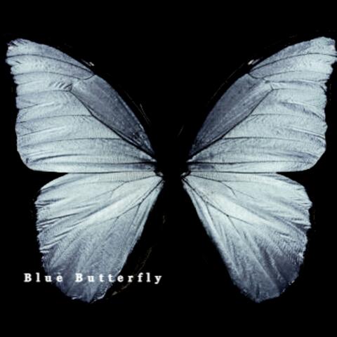 Blue Butterfly