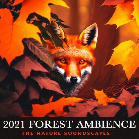2021 Forest Ambience