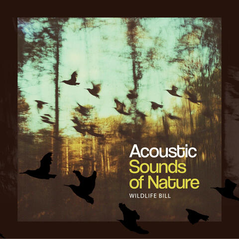 Acoustic Sounds of Nature