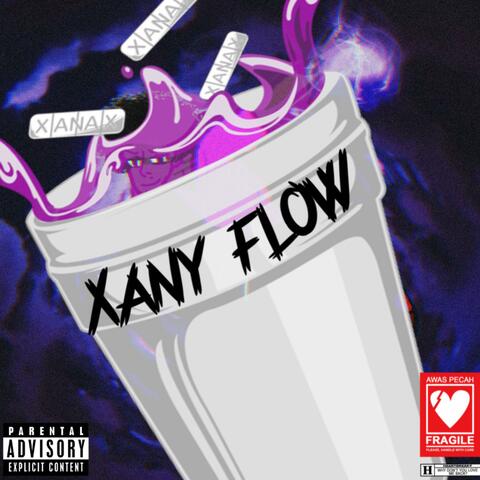 Xany Flow