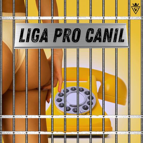 Liga pro canil