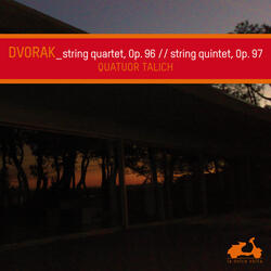 String Quintet in E-Flat Major, Op. 97: III. Larghetto