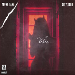 VIBE FEATURE CITY 3000