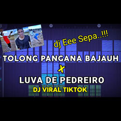 DJ TOLONG PANGANA BAJAUH X LUVA DE PEDREIRO FULL BASS TIKTOK VIRAL