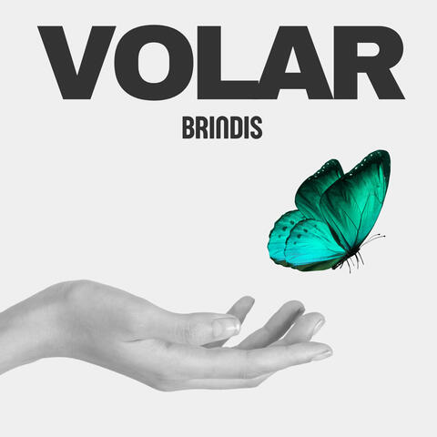 Volar