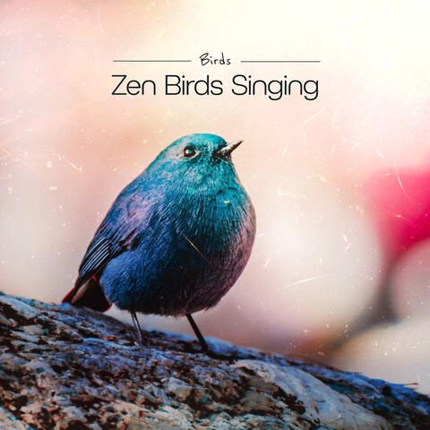 Zen Birds Singing