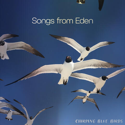 Songs from Eden