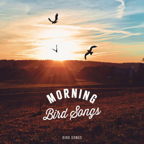 Morning Bird Songs