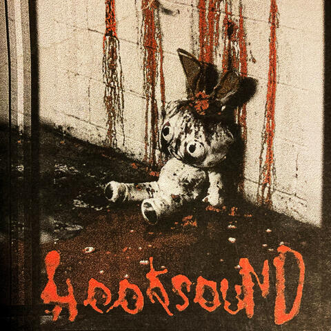 HooksounD