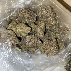 Project To The World