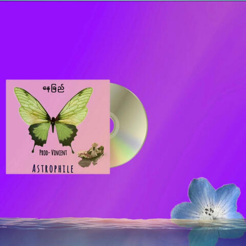 နေခြည်