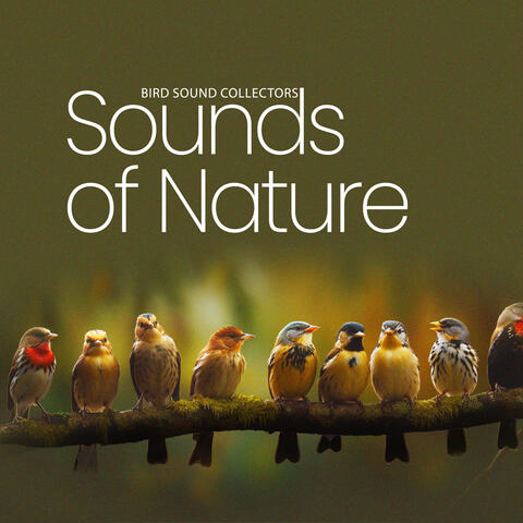 Sounds of Nature