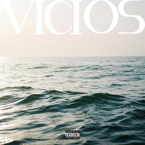 Vícios