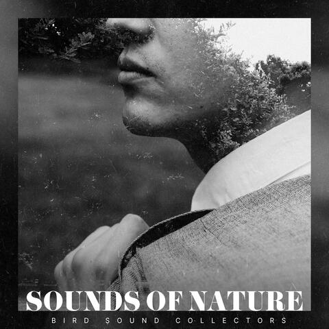 Sounds of Nature