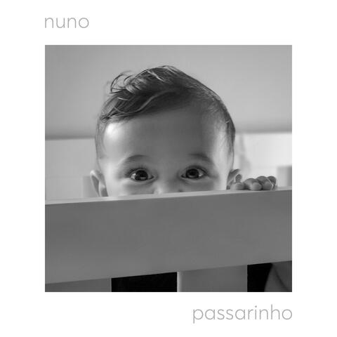 Passarinho
