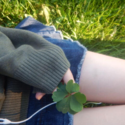 Clover 2