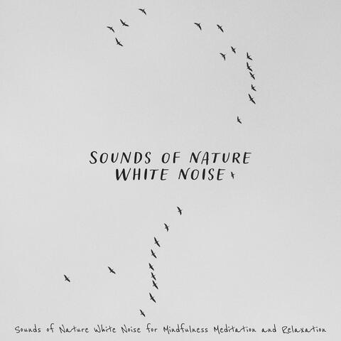 Sounds of Nature White Noise