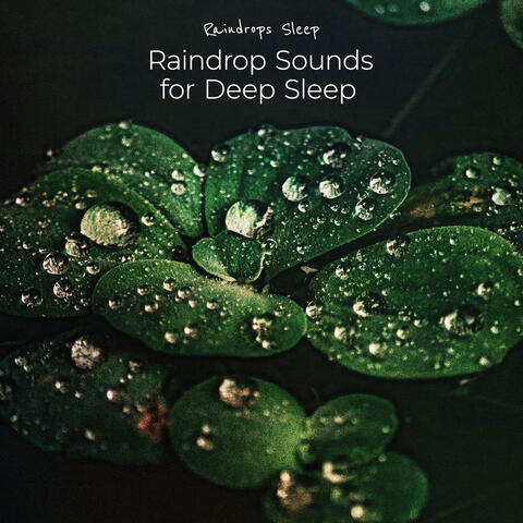 Raindrop Sounds for Deep Sleep