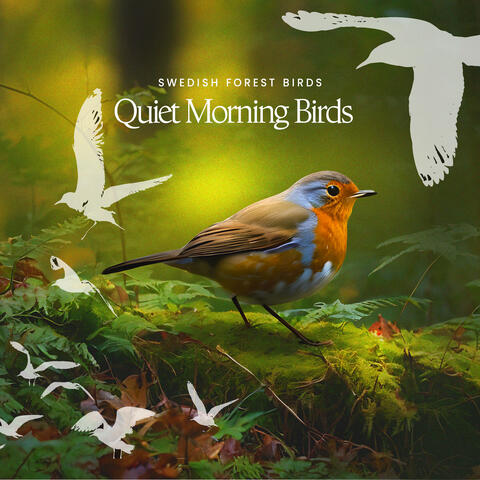 Quiet Morning Birds