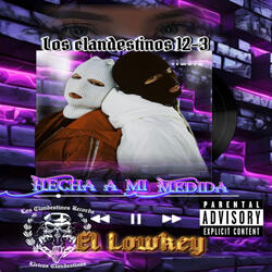 Hecha A Mi Medida