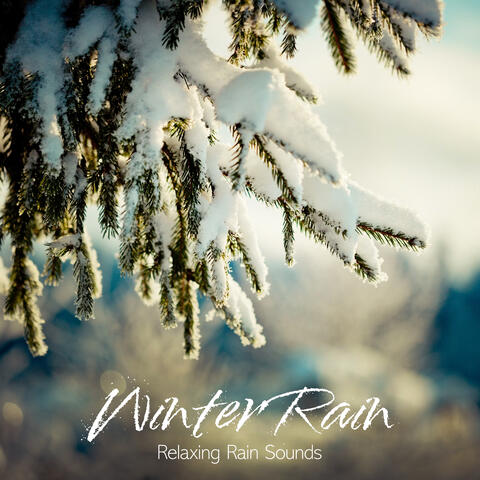 Winter Rain