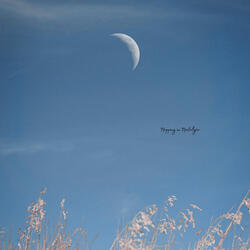 Napping in Nostalgia