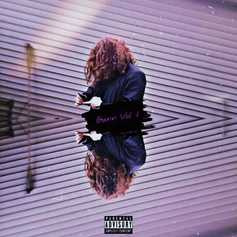 Gunn Vol 1