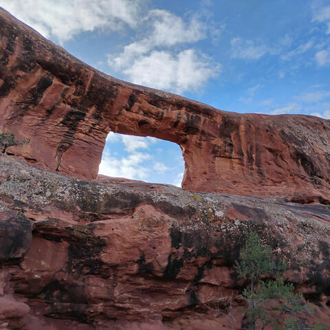 Past the Portal