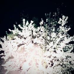 Wishing That We Never Met