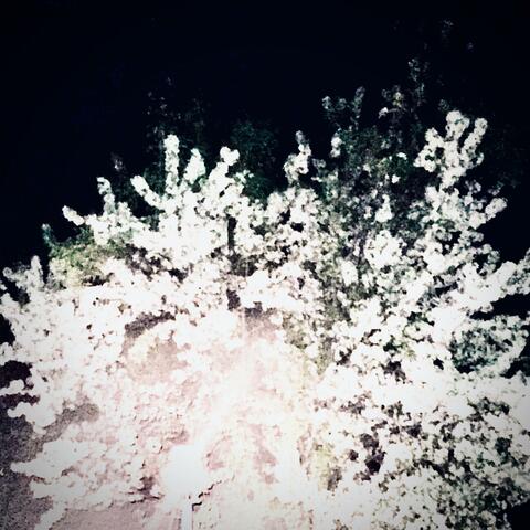 Wishing That We Never Met