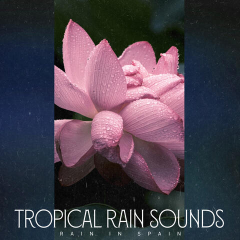Tropical Rain Sounds