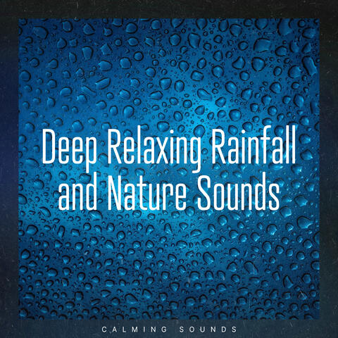 Deep Relaxing Rainfall and Nature Sounds