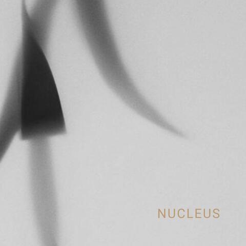 Nucleus