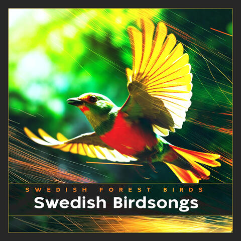 Swedish Birdsongs