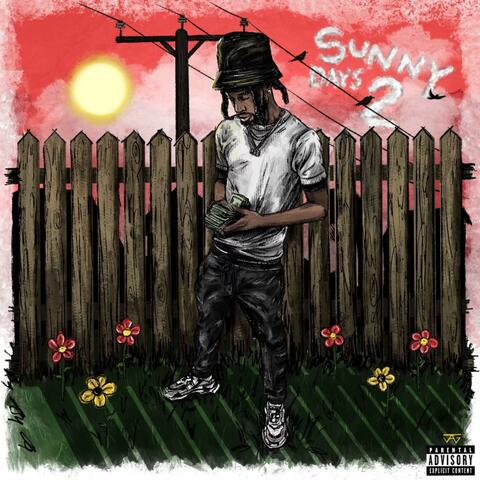 Sunny Days 2