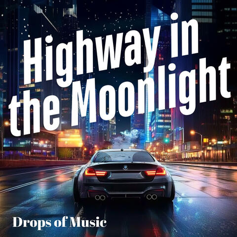 Highway in the Moonlight