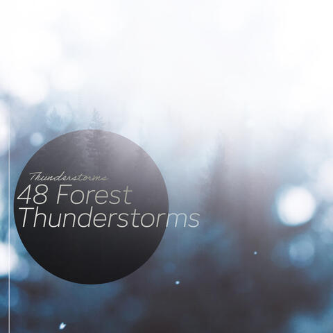 48 Forest Thunderstorms